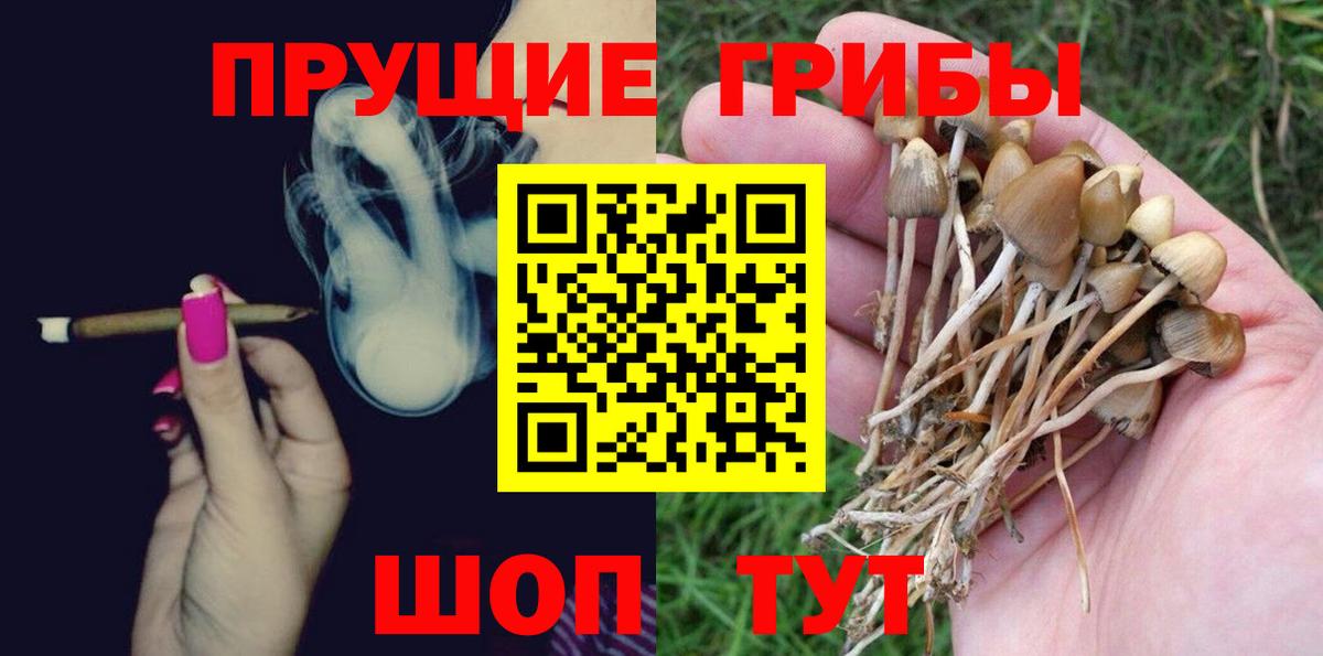 Псилоцибиновые грибы Magic Shrooms  Псилоцибиновые грибы Psilocybine cubensis  Ачинск  Вход с VPN 